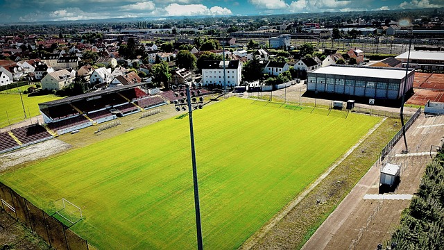 克里希指出 克里希指出